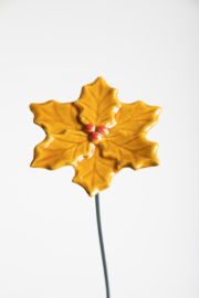 Fiore Agrifoglio - Ocra