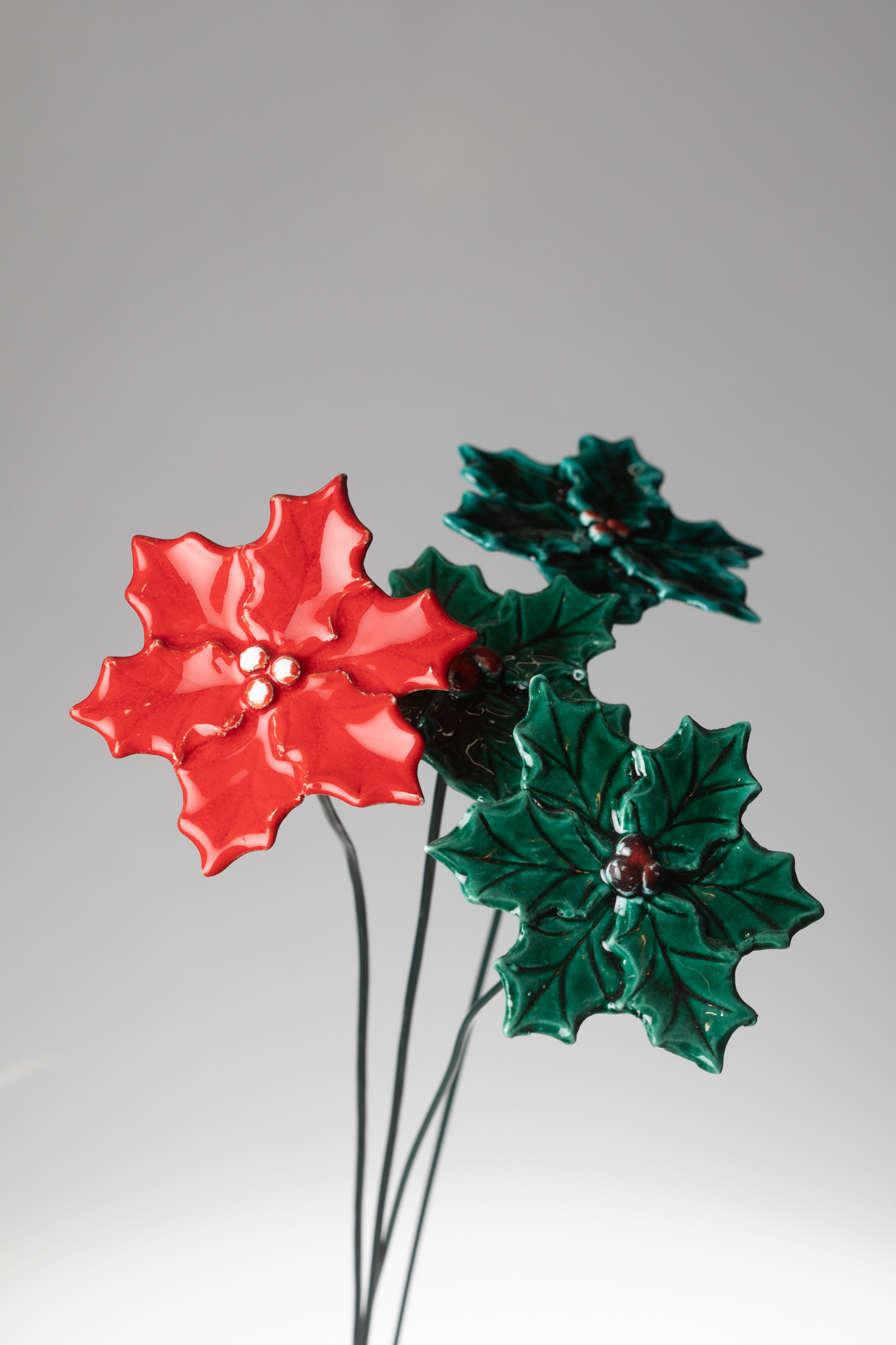 Fiore Agrifoglio