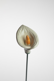 Calla Media - Bianco