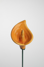 Calla Media - Arancione