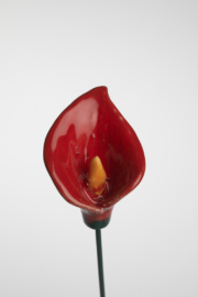 Calla Media - Rosso