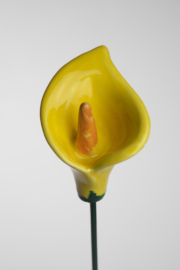 Calla Media - Giallo