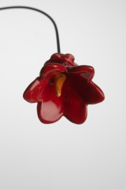 Campanula - Rosso