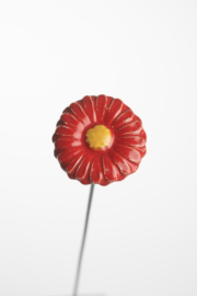 Gerbera Media - Rosso