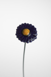 Margherita - Blu