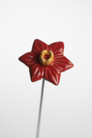 Narciso Piccolo - Rosso
