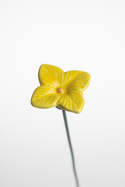 Ortensia - Giallo