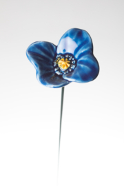 Papavero grande - Blu
