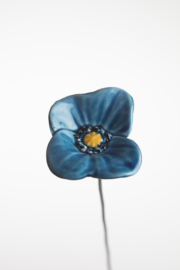 Papavero grande - Azzurro