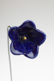 Petunia - Blu