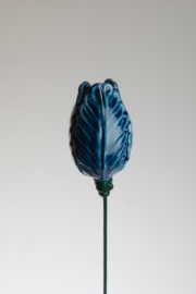 Tulipano screziato - Azzurro