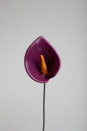 Calla Media - Viola