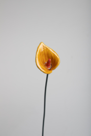 Calla Media - Ocra