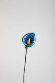 Calla Media - Azzurro