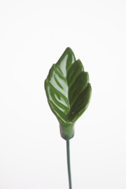 Foglia - Verde