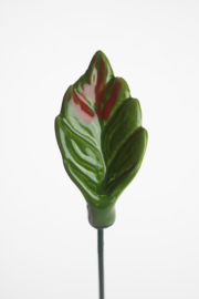 Foglia - Verde ramato