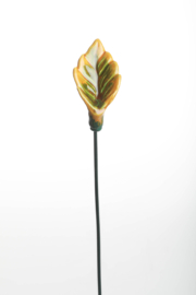 Foglia - Verde ocra