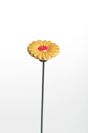 Gerbera Media - Ocra