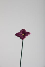 Ortensia - Viola