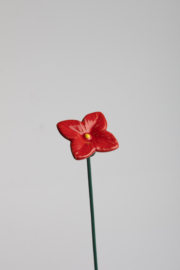 Ortensia - Rosso