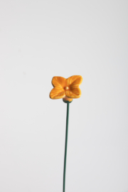 Ortensia - Arancione